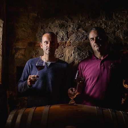 Wine Resort Colsereno Montalcino Eksteriør bilde