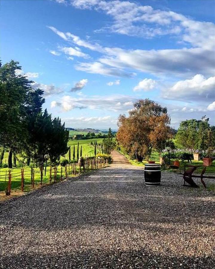 Wine Resort Colsereno Montalcino Eksteriør bilde