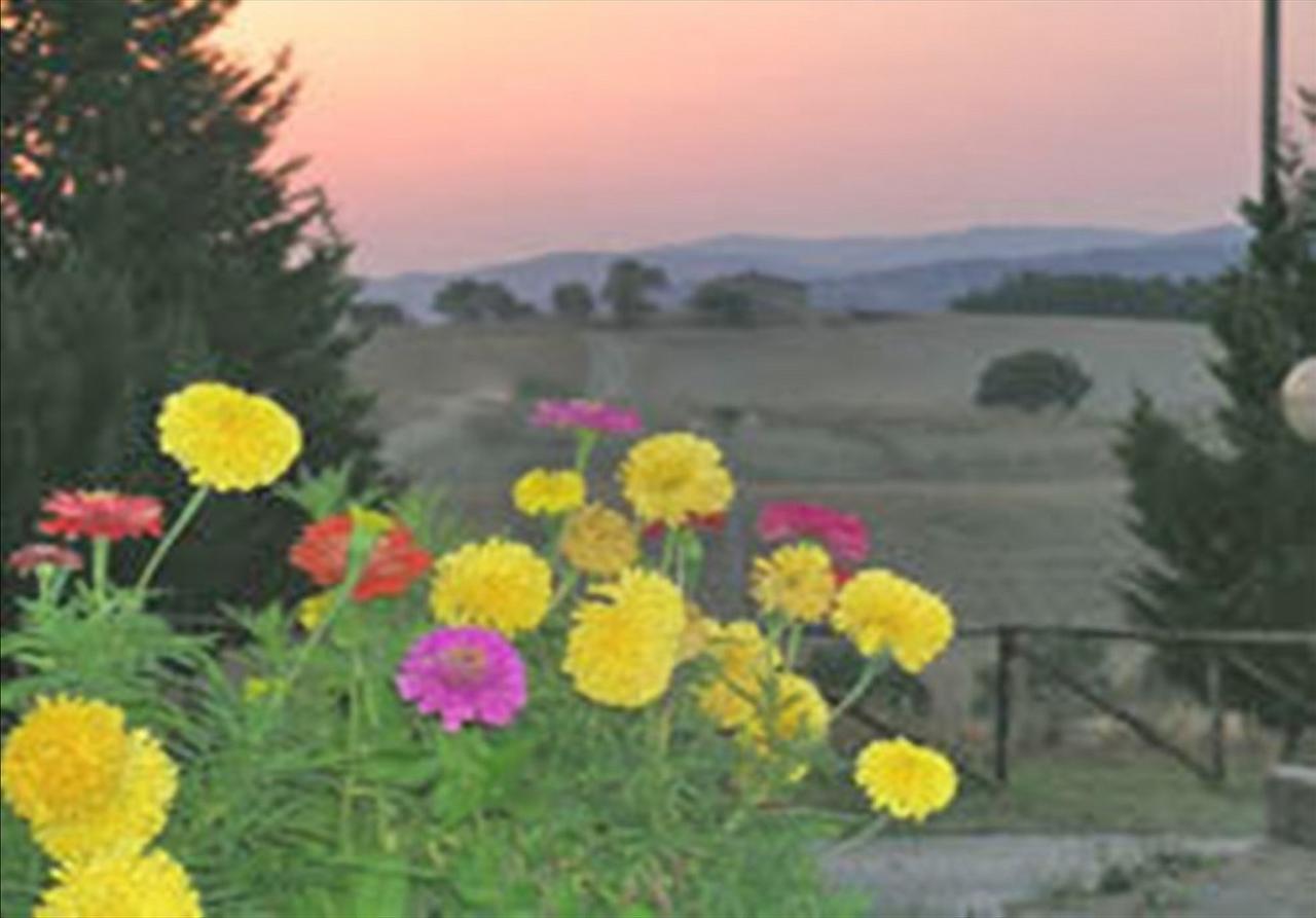 Wine Resort Colsereno Montalcino Eksteriør bilde