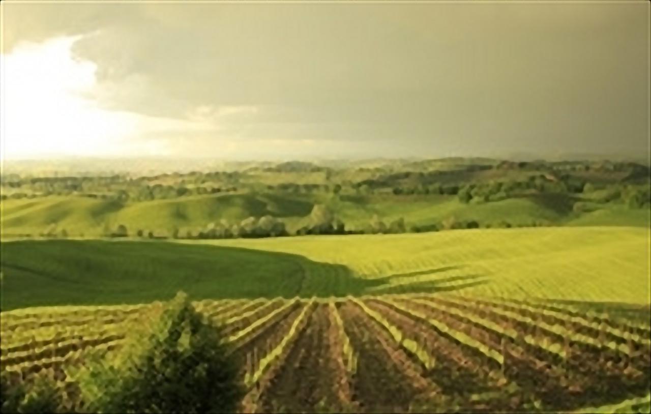 Wine Resort Colsereno Montalcino Eksteriør bilde