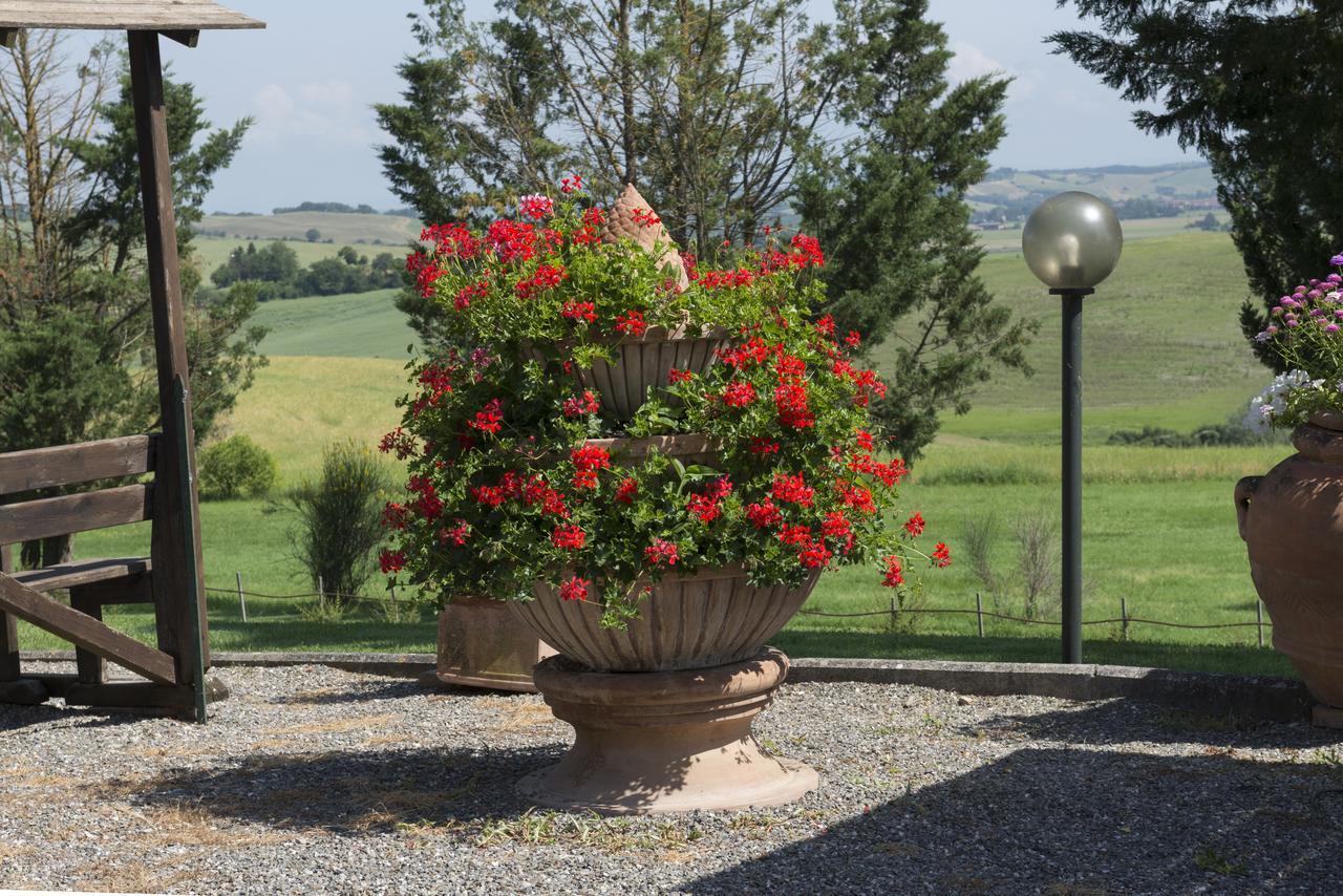 Wine Resort Colsereno Montalcino Eksteriør bilde