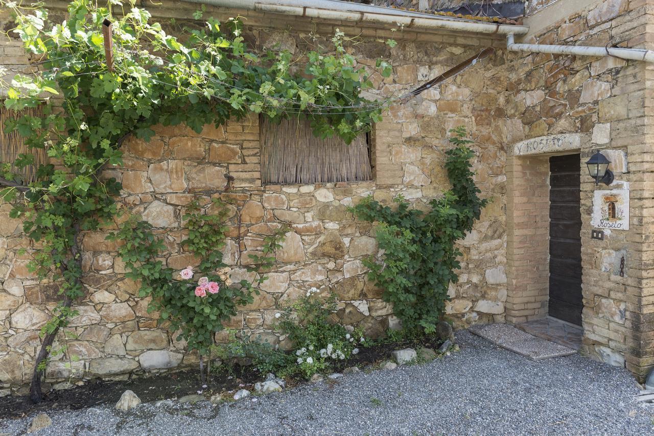 Wine Resort Colsereno Montalcino Eksteriør bilde