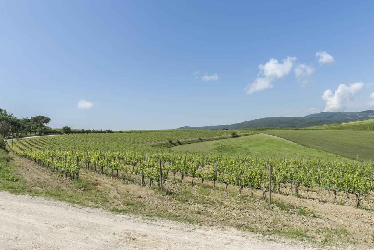 Wine Resort Colsereno Montalcino Eksteriør bilde